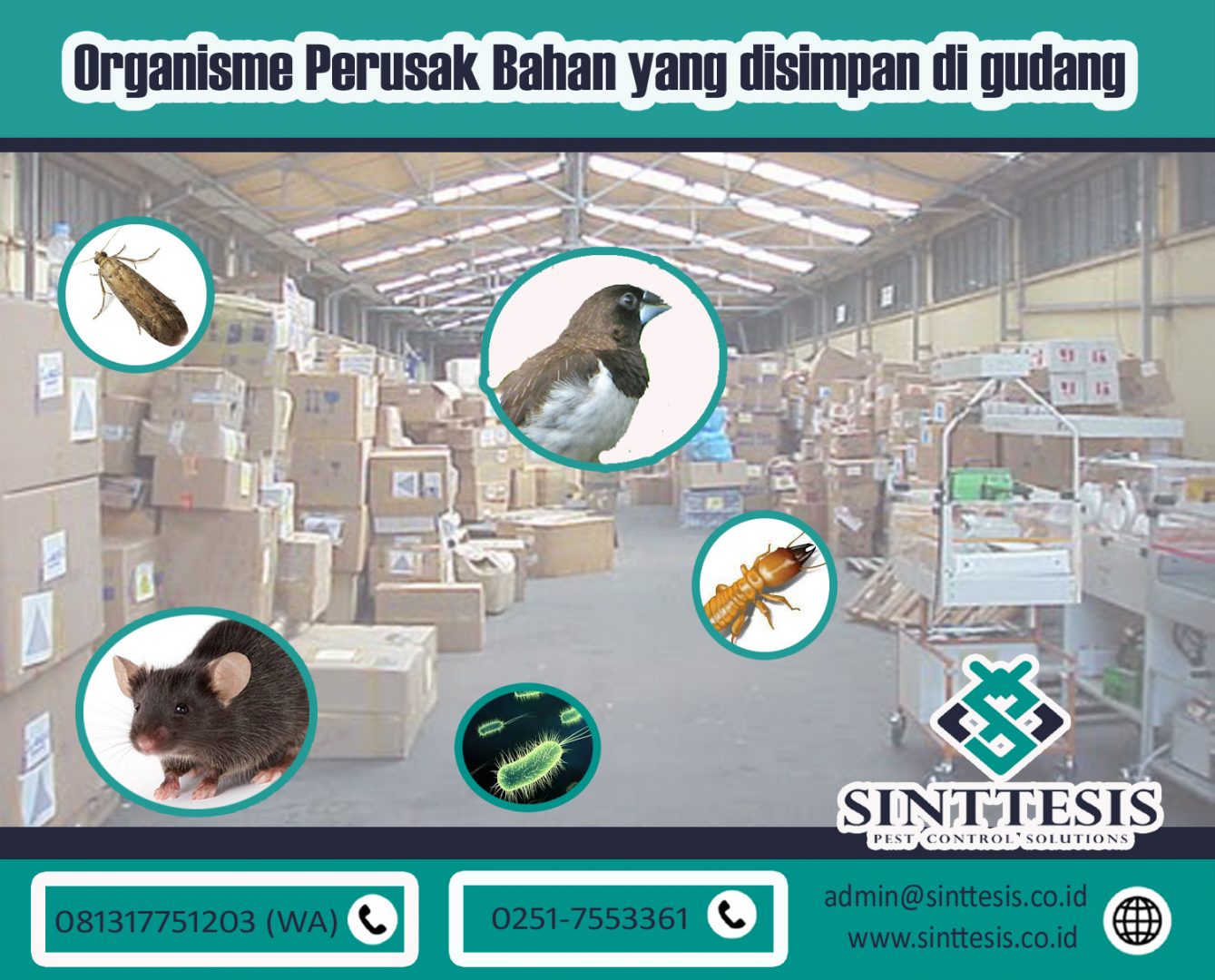 Potensi Hama Pada Gudang Sinttesis