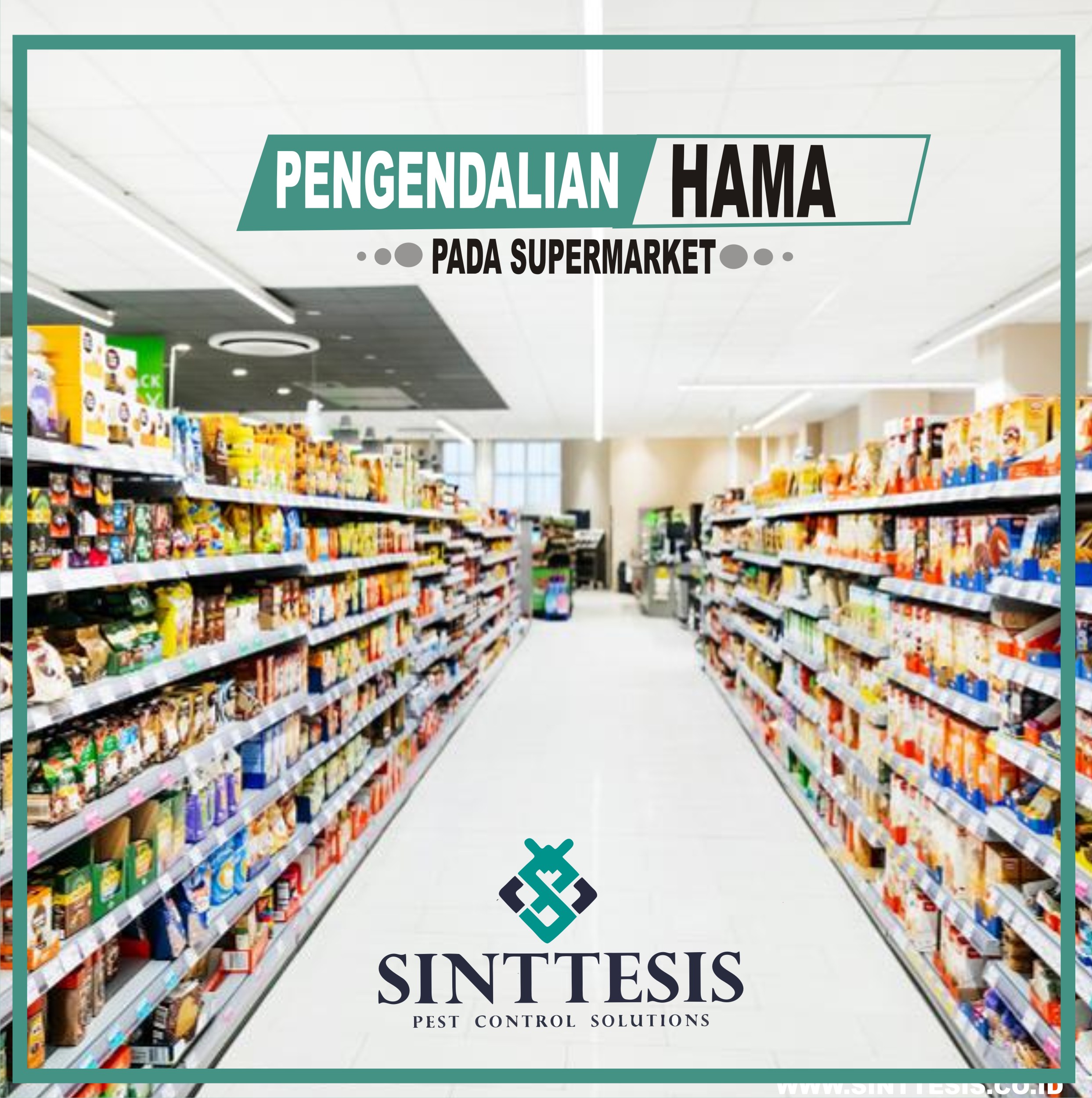 Jasa Pembasmi Hama Pada Supermarket