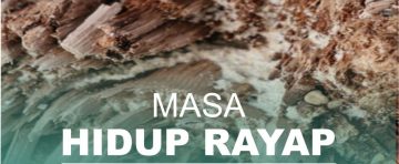 Masa Hidup Rayap