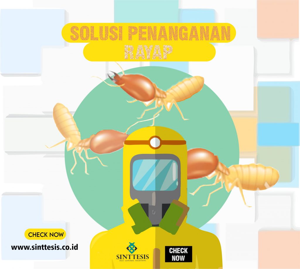 Solusi Penanganan Rayap