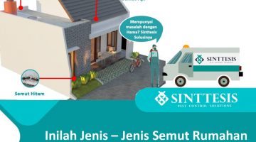 Inilah Jenis – Jenis Semut Rumahan dan Kenali Apa Kesukaanya