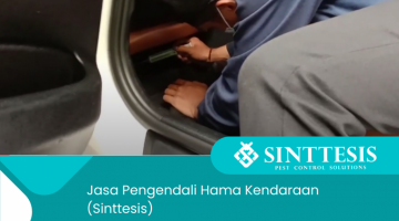 Jasa Pengendali Hama Kendaraan di Jakarta Bogor Depok Tangerang Bekasi dan Sukabumi