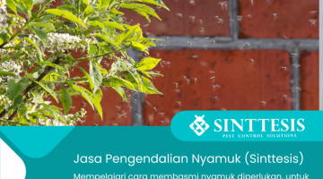 Jasa Pengendalian Nyamuk Jabodetabek, Sukabumi dan Bandung