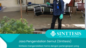 Jasa Pengendalian Semut Jakarta Bogor Depok Tangerang Bekasi dan Sukabumi