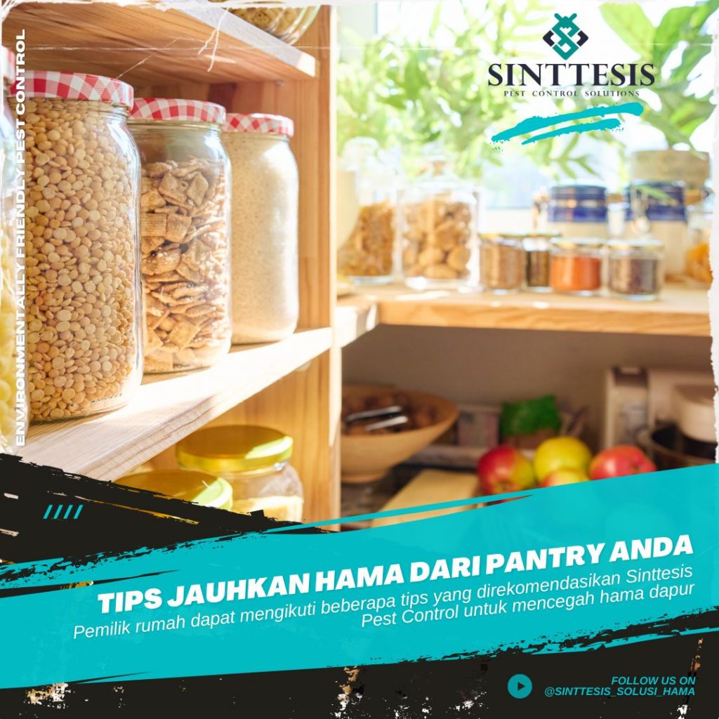 Tips Mencegah Hama Pantry