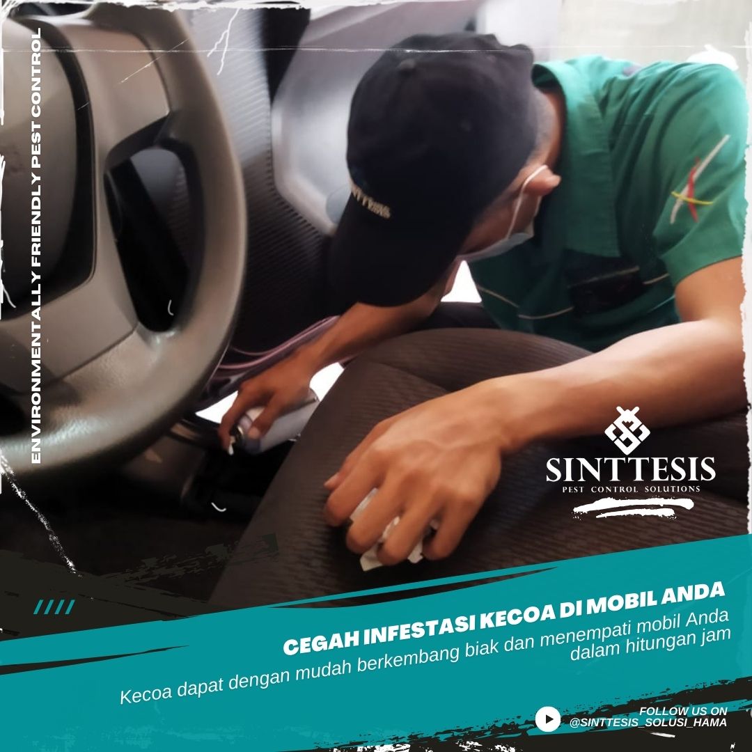 Cegah infestasi kecoa di mobil Anda bersama Sinttesis Pest Control