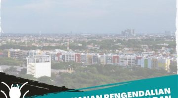 Layanan Pengendalian Rayap Cikarang Bekasi dan Sekitarnya