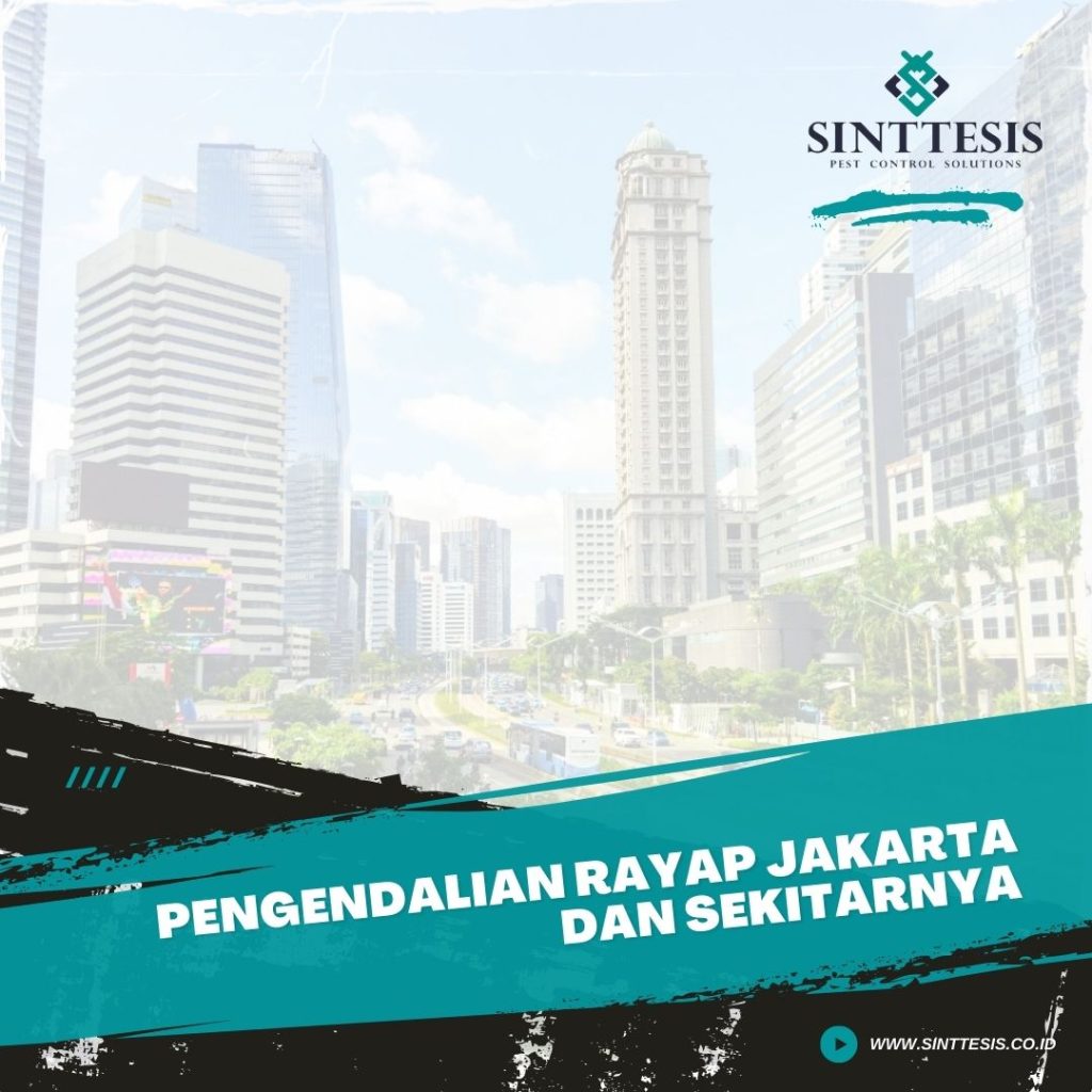 Pengendalian Rayap Jakarta dan Sekitarnya