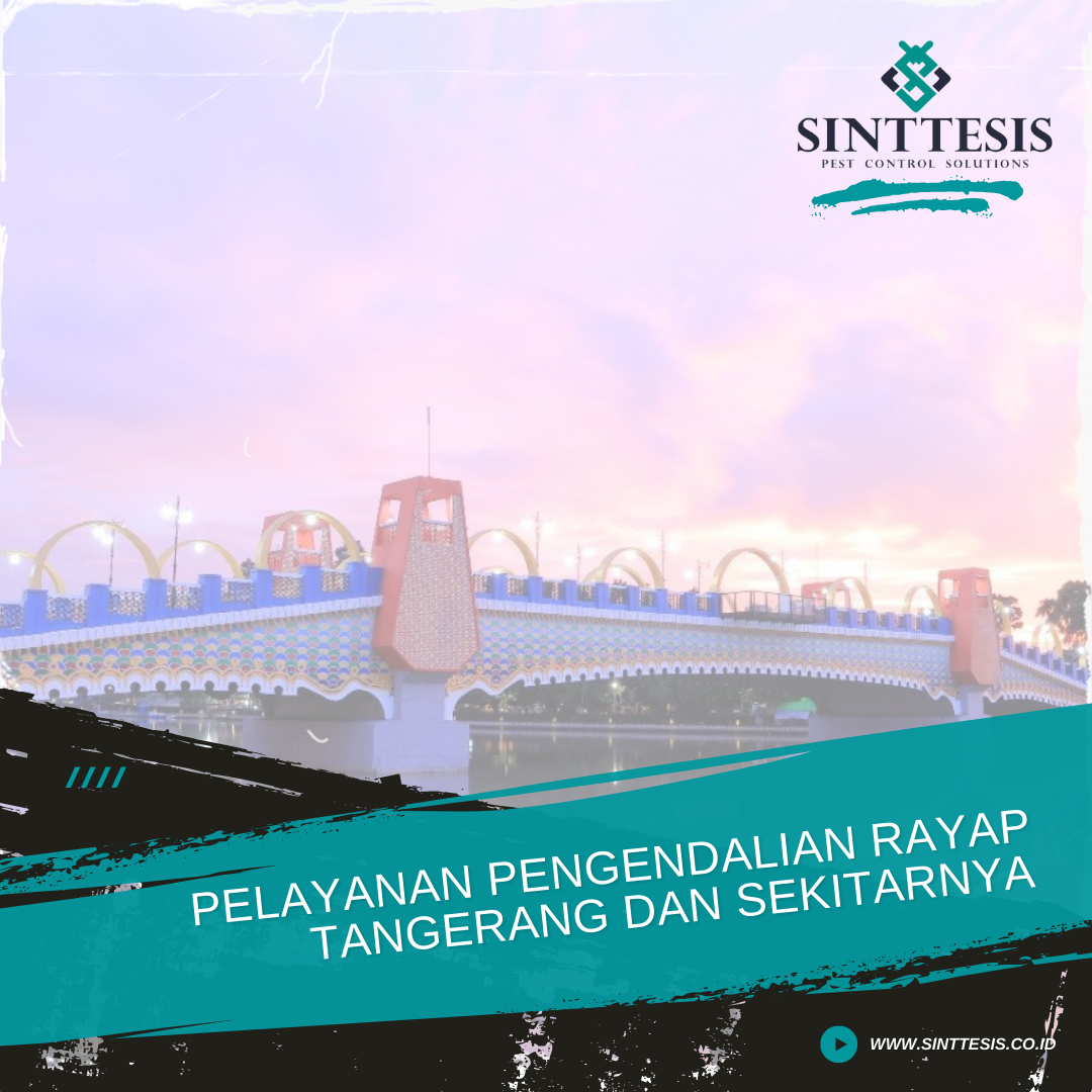 Pelayanan Pengendalian Rayap Tangerang dan Sekitarnya
