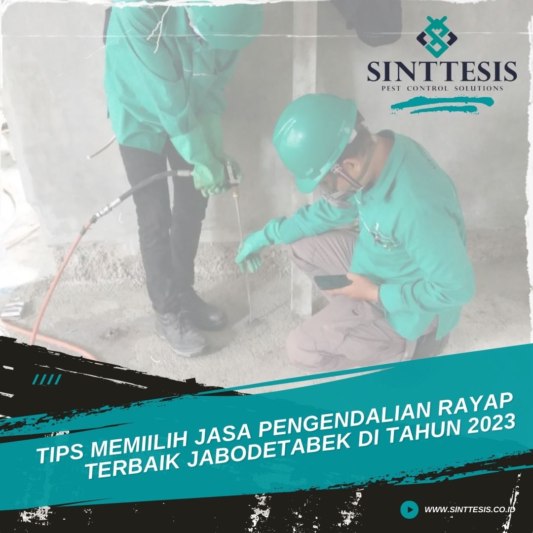 Tips Memilih Jasa Pengendalian Rayap Terbaik Jabodetabek Di Tahun 2023 ...