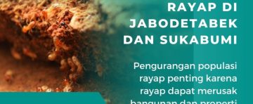Pengurangan Investasi Rayap Jabodetabek