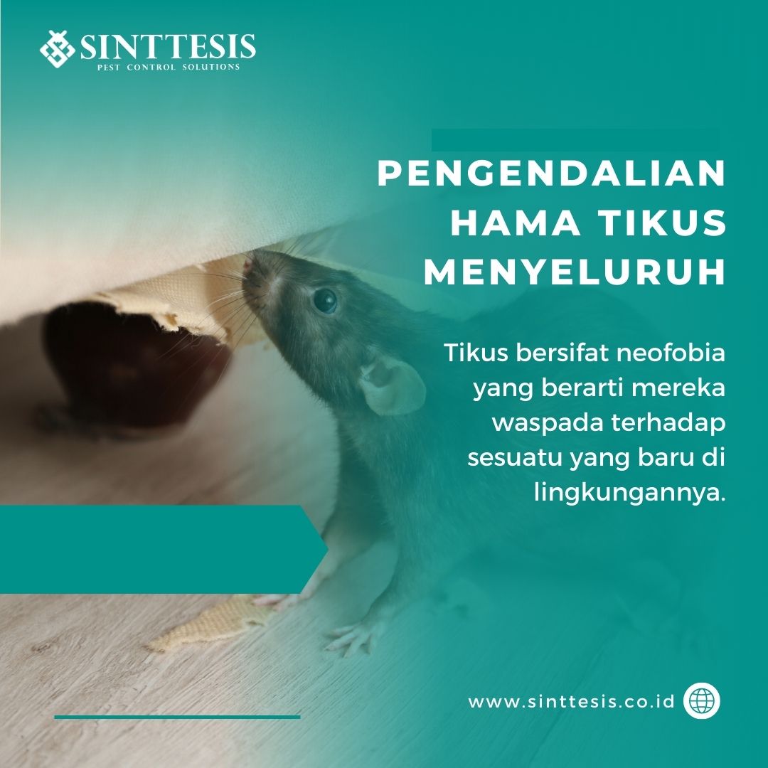 Pengendalian Hama Tikus Menyeluruh