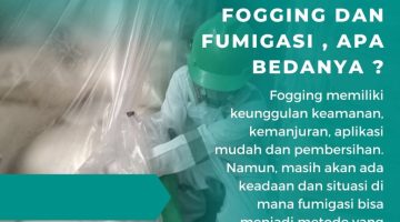 Fogging dan Fumigasi