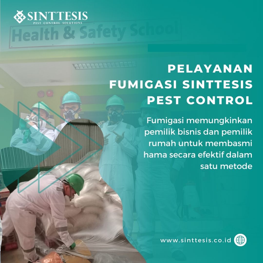 Fumigasi Sinttesis Pest Control