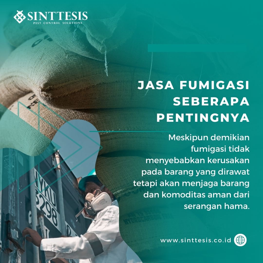 Jasa Fumigasi Seberapa Pentingnya ?