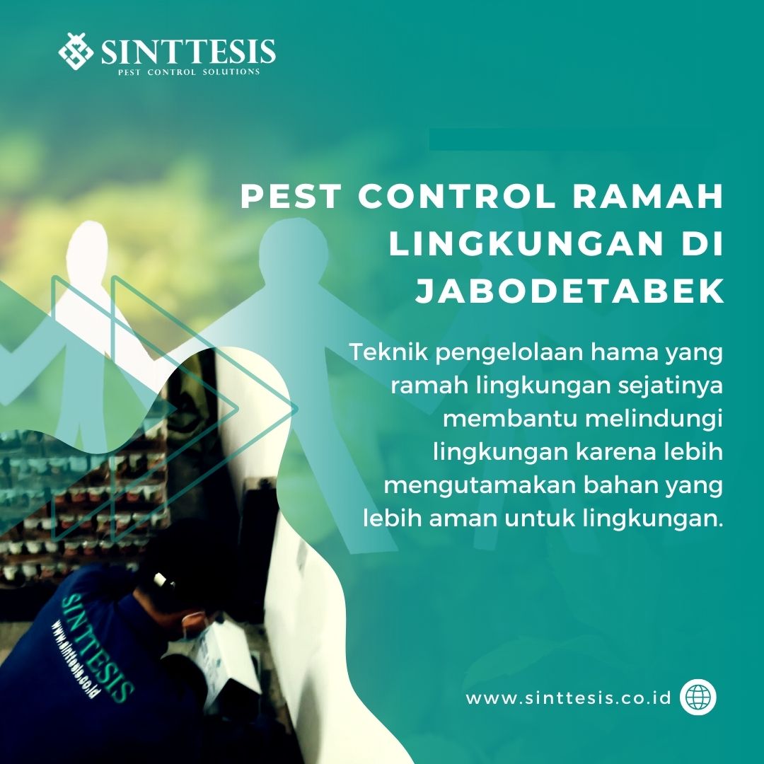 Pest Control Ramah Lingkungan di Jabodetabek