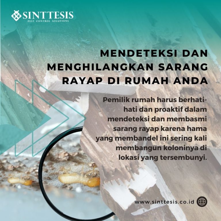 Mendeteksi Dan Menghilangkan Sarang Rayap Di Rumah Anda - Sinttesis