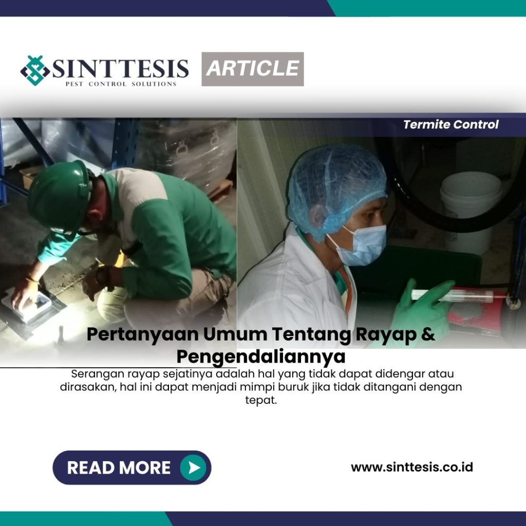 Pertanyaan Umum Tentang Rayap & Pengendaliannya