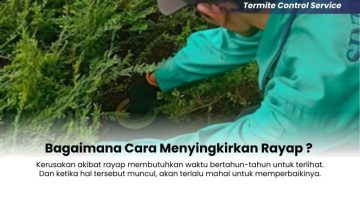 Bagaimana Cara Menyingkirkan Rayap