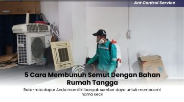 5-Cara-Membunuh-Semut-Dengan-Barang-Rumah-Tangga