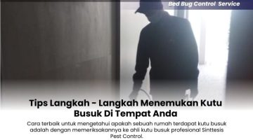 Tips-Langkah-Langkah-Menemukan-Kutu-Busuk-Di-Tempat-Anda