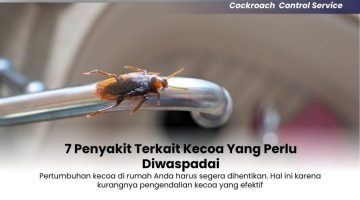 7-Penyakit-Terkait-Kecoa-Yang-Perlu-Diwaspadai