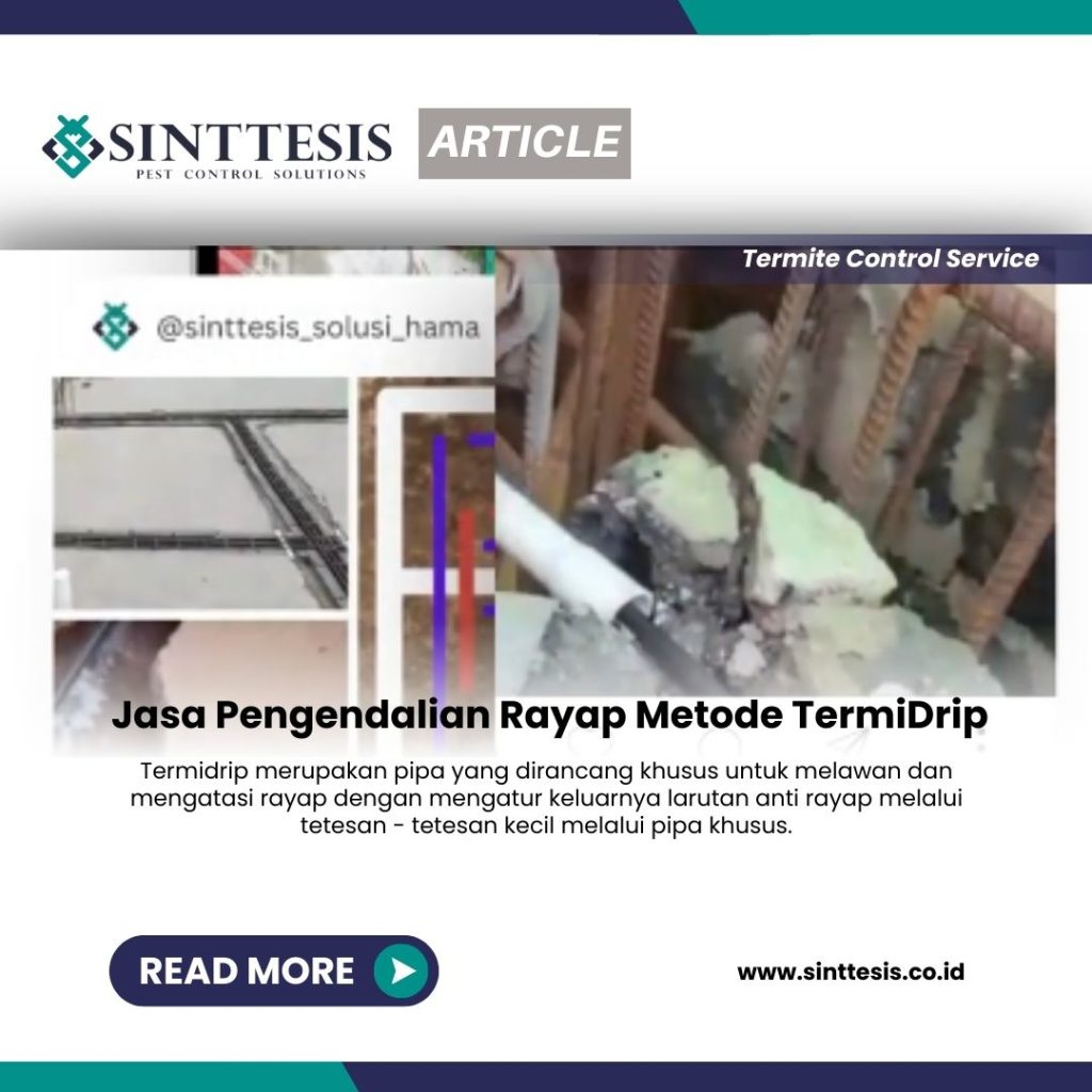 Jasa Pengendalian Rayap Metode TermiDrip