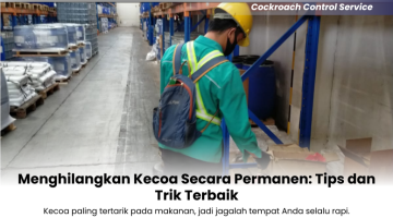 Menghilangkan-Kecoa-Secara-Permanen-Tips-dan-Trik-Terbaik-