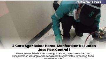 4 Cara Agar Bebas Hama Manfaatkan Kekuatan Jasa Pest Control !