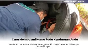 Cara Membasmi Hama Pada Kendaraan Anda