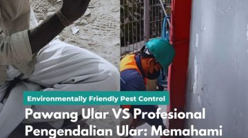 Pawang Ular VS Profesional Pengendalian Ular Memahami Perbedaan dan Manfaatnya