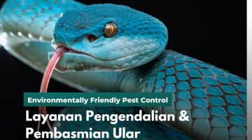 Layanan Pengendalian & Pembasmian Ular