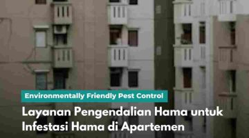 Layanan Pengendalian Hama untuk Infestasi Hama di Apartemen