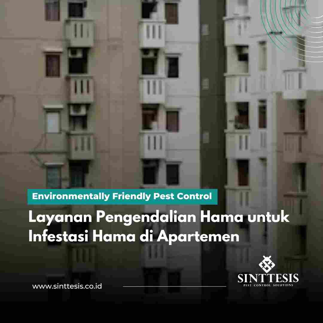 Layanan Pengendalian Hama untuk Infestasi Hama di Apartemen