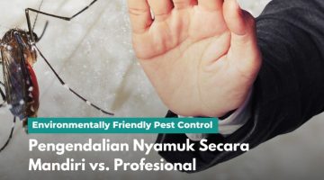 Pengendalian Nyamuk Secara Mandiri vs. Profesional