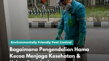 Bagaimana Pengendalian Hama Kecoa Menjaga Kesehatan & Kebersihan Anda