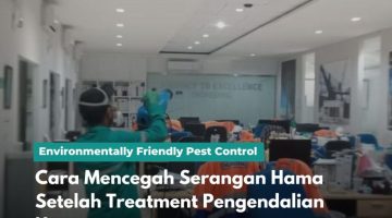 Cara Mencegah Serangan Hama Setelah Treatment Pengendalian Hama