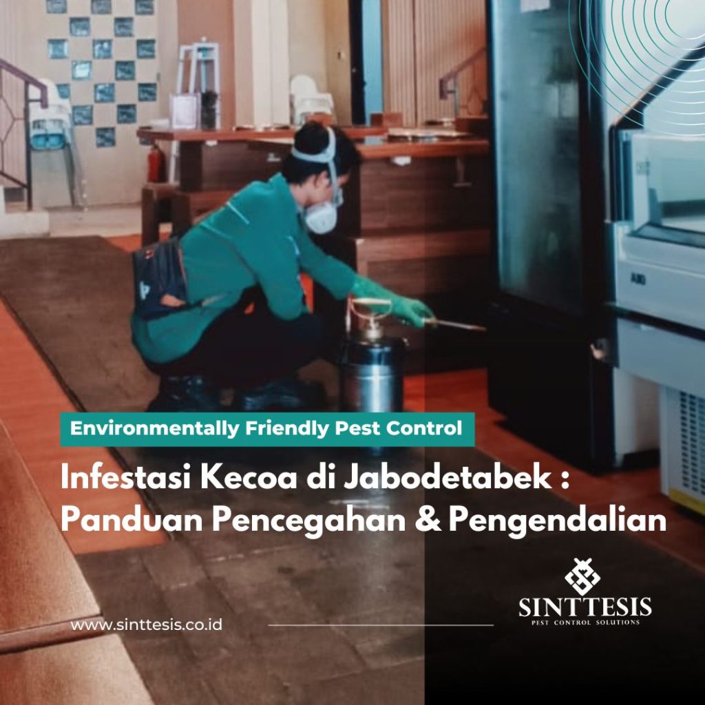 Infestasi Kecoa di Jabodetabek Panduan Pencegahan & Pengendalian