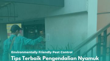 Tips Terbaik Pengendalian Nyamuk