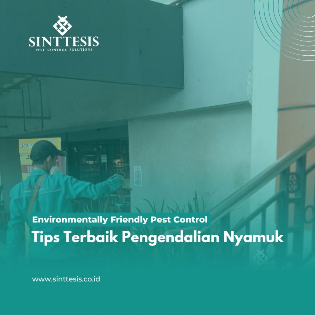 Tips Terbaik Pengendalian Nyamuk