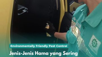 Jenis-Jenis Hama yang Sering Bersarang di Mobil