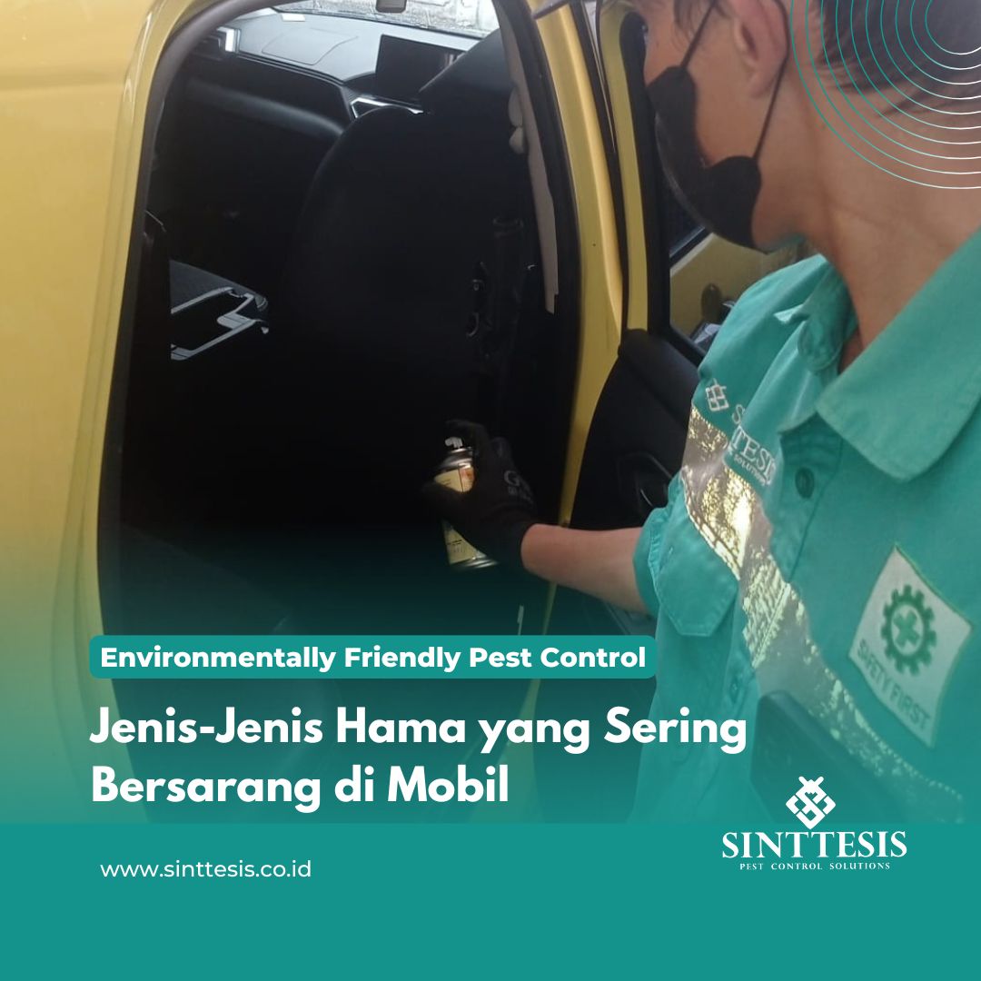 Jenis-Jenis Hama yang Sering Bersarang di Mobil