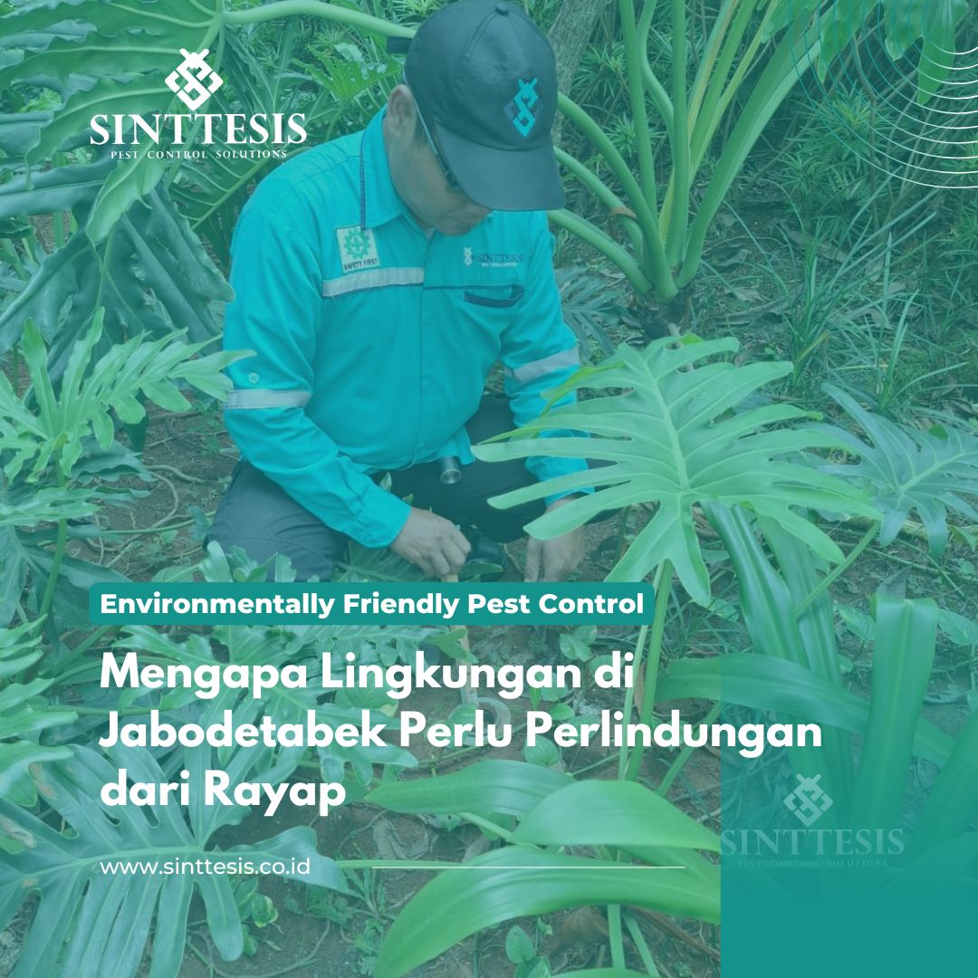 Mengapa Lingkungan di Jabodetabek Perlu Perlindungan dari Rayap