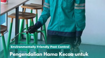 Pengendalian Hama Kecoa untuk Restoran