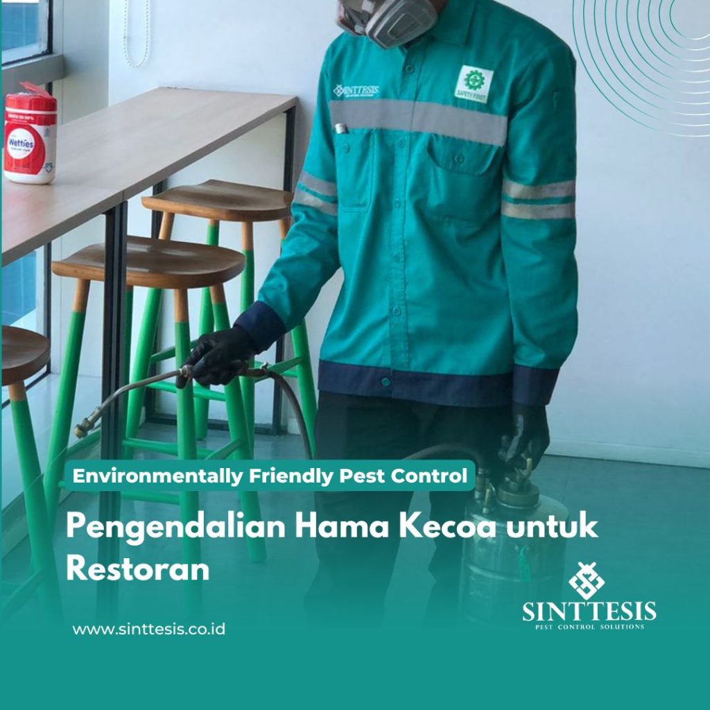 Pengendalian Hama Kecoa untuk Restoran