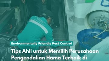 Tips Ahli untuk Memilih Perusahaan Pengendalian Hama Terbaik di Jabodetabek