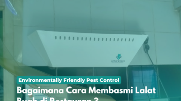 Membasmi Lalat Restauran
