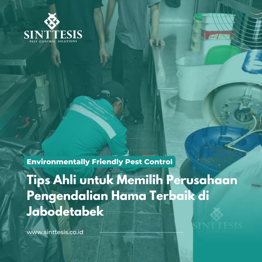 Tips Ahli untuk Memilih Perusahaan Pengendalian Hama Terbaik di Jabodetabek