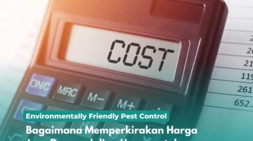 Bagaimana Memperkirakan Harga Jasa Pengendalian Hama untuk Rumah Anda