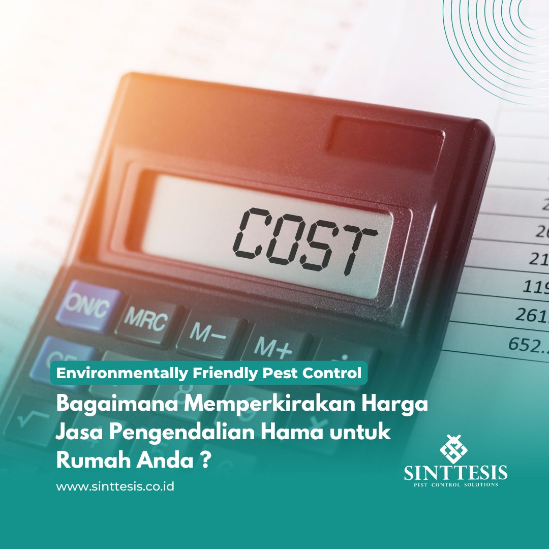 Bagaimana Memperkirakan Harga Jasa Pengendalian Hama untuk Rumah Anda